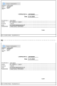 pcFact - Program de facturare - Doua Chitante